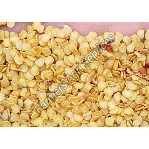 Hybrid and Natural Capsicum Seeds