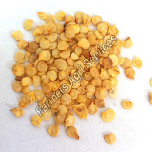 Hybrid and Natural Yellow Chilli Seeds