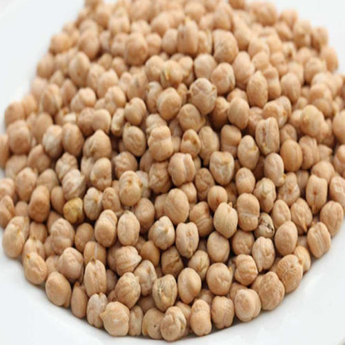 White Organic And Fresh Kabuli Chickpeas