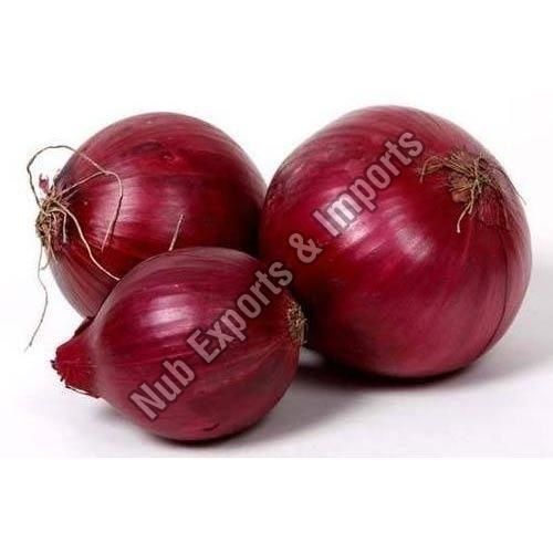 Organic Fresh Red Onion