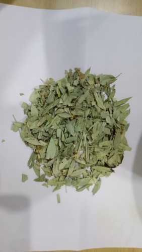 Dried Herbs Organic Herbal Senna Leaves