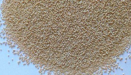 Strong Flavor Amaranth Seed