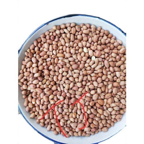 TAG 24 Chinese Groundnut Seed