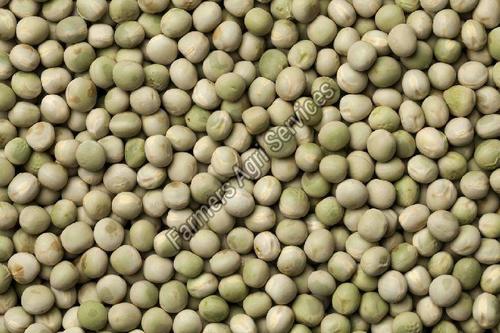 Tasty And Delicious Dried Green Peas