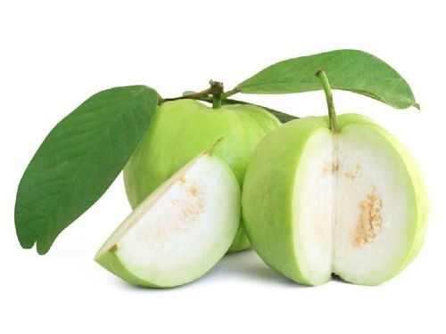 Healthy and Natural Fresh Guava