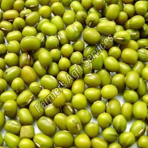 Healthy and Natural Green Gram Seeds