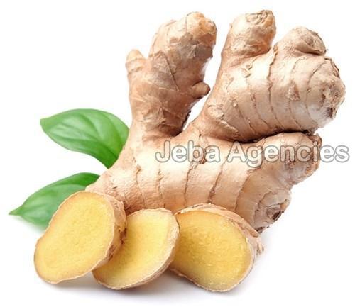 Organic And Healthy Fresh Ginger Moisture (%): 99%