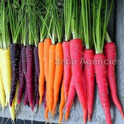 Cooked Organic And Natural Fresh Carrot