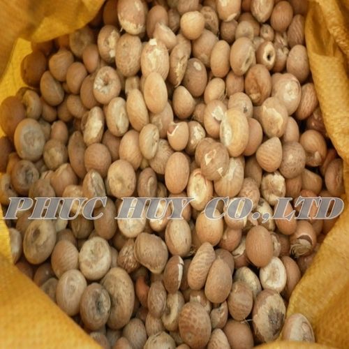 Dried Whole Areca Nut Supari