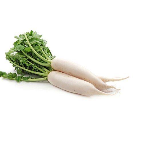 Healthy And Natural Fresh White Radish Shelf Life: 1 Week