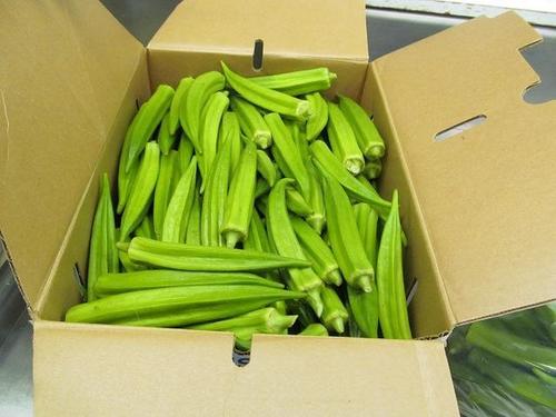 Organic Fresh Green Okra