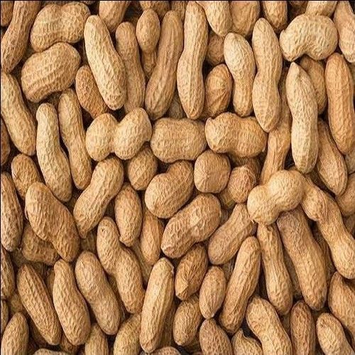 Raw Peanuts