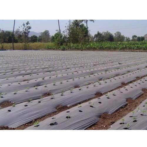 White Plastic Mulch Film Light Weight