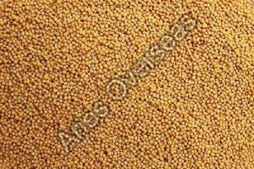 100% Natural Mustard Seeds