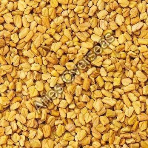 98% Purity Fenugreek Seeds