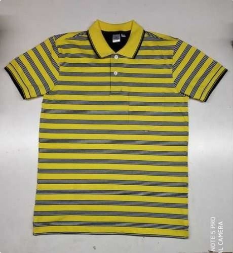 Multicolour Stripped Polo T-Shirt