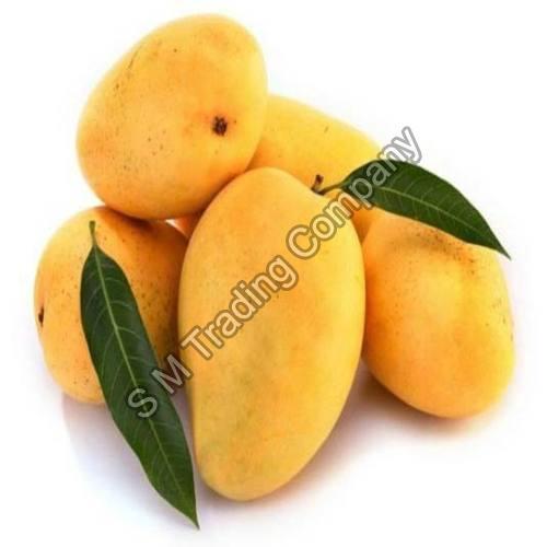 Organic and Natural Fresh Badami Mango