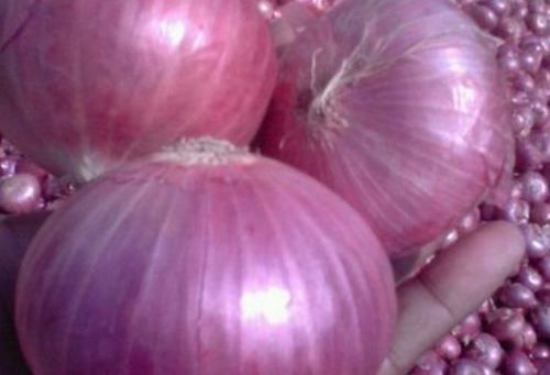 Farm Fresh Pink Onion