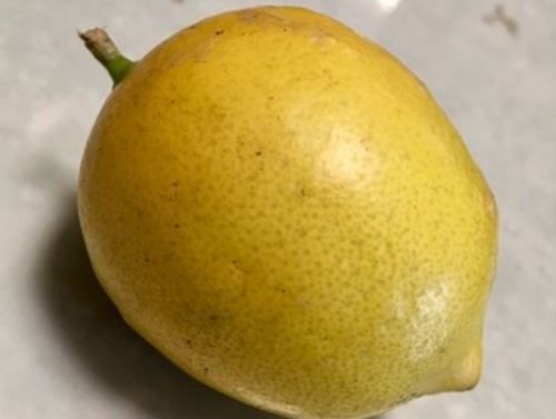 Farm Fresh Yellow Lemon