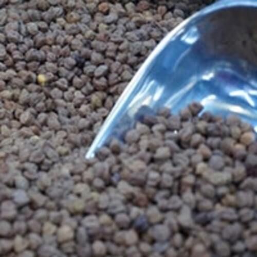 Common Healthy And Natural Black Chickpeas