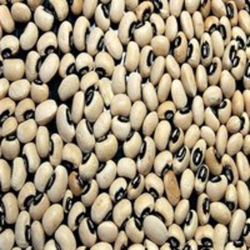 Common Healthy And Natural Black Eyed Beans