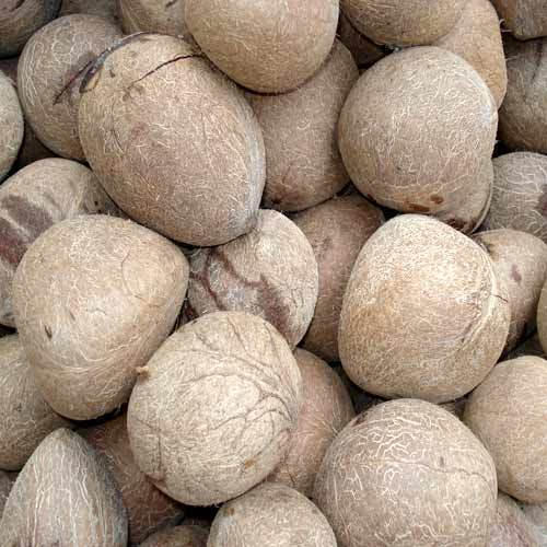 Common Healthy And Natural Coconut Copra