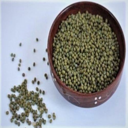 Common Healthy And Natural Green Gram