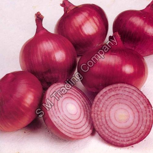 Organic and Natural Fresh Onion