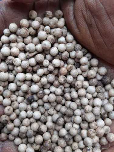 Export Quality White Pepper