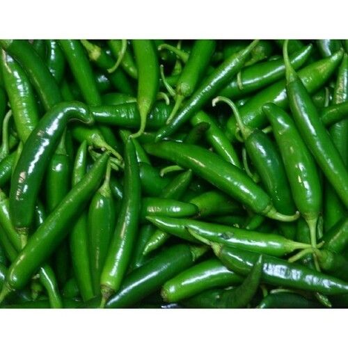 Healthy and Natural Green Chilli