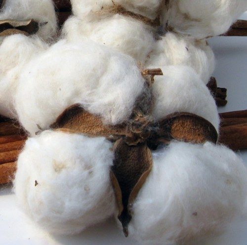 High Quality Bulk Raw Cotton