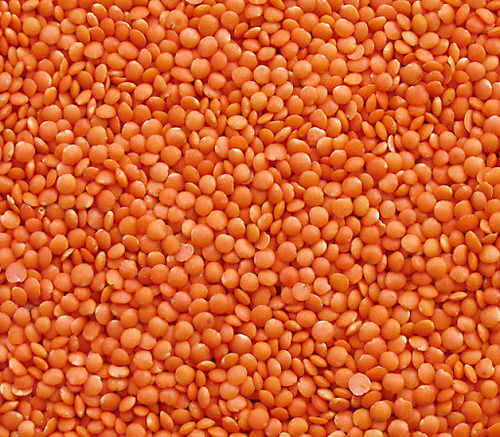 Quality Whole Red Lentils and Red Split Lentils