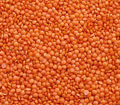 Quality Whole Red Lentils And Red Split Lentils Admixture (%): 1