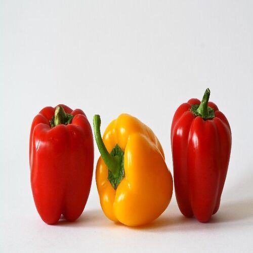 Healthy and Natural Fresh Capsicum