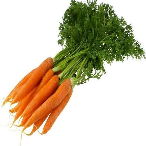 Healthy and Natural Fresh Carrot