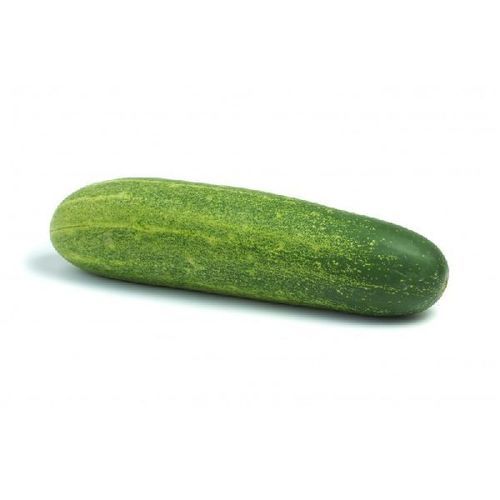 Healthy and Natural Fresh Cucumber