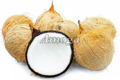 Brown Healthy And Natural Fresh Husked Coconut