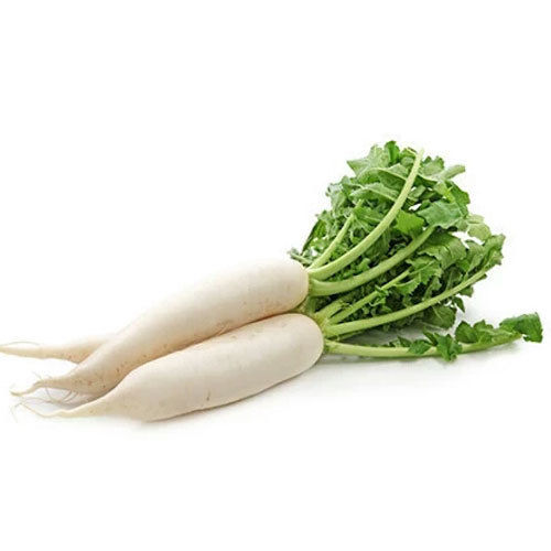 Healthy and Natural Fresh White Radish