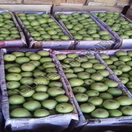 Organic and Natural Fresh Pear