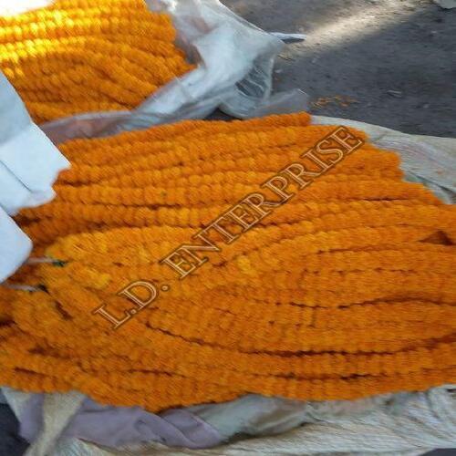 Organic Fresh Yellow Marigold Flowers