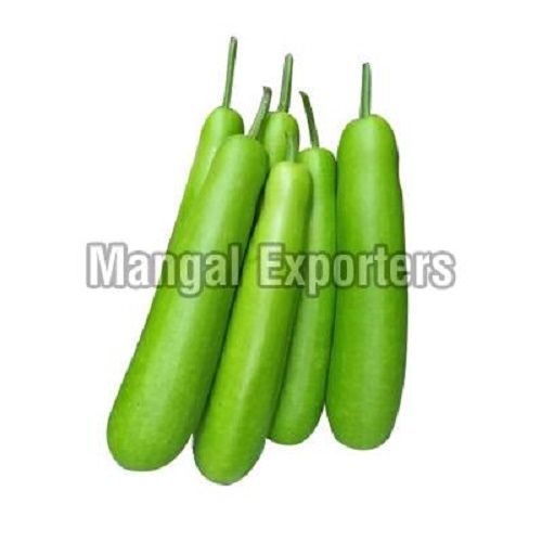 Fresh Green Bottle Gourd