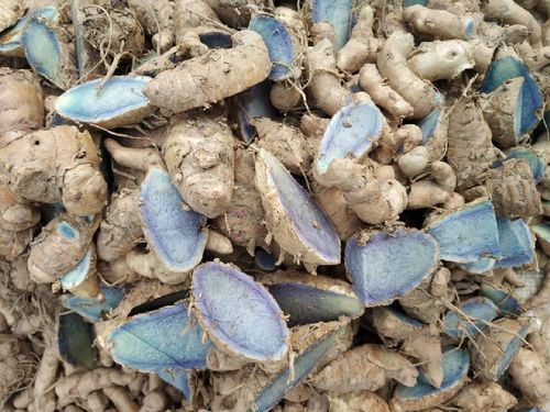 Natural Fresh Black Turmeric Grade: Food Grade