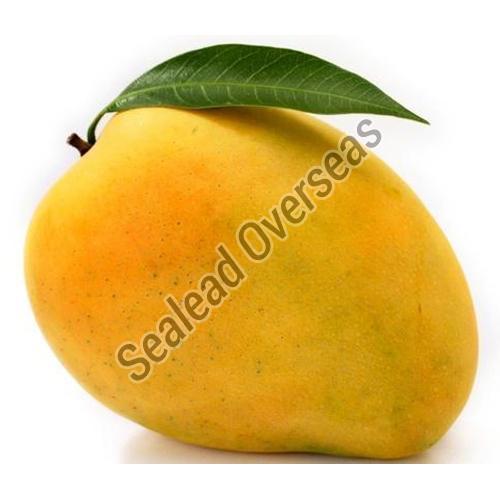 Natural Taste Fresh Yellow Mango