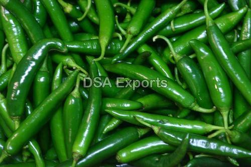 Organic and Natural Fresh Green Chilli