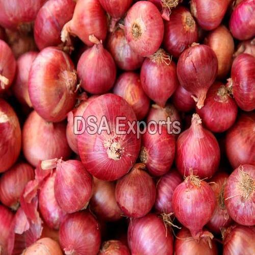 Organic and Natural Fresh Onion