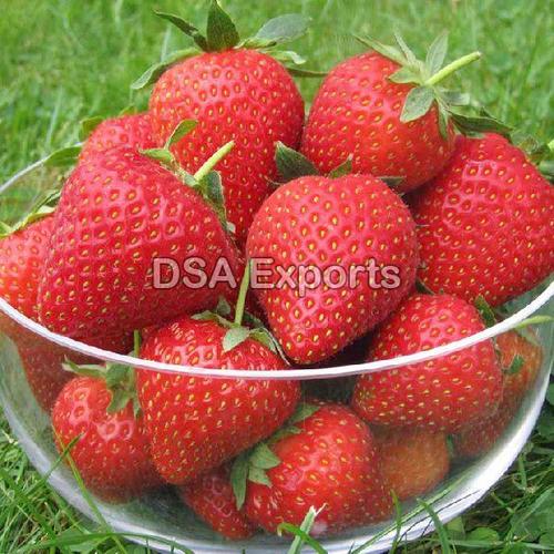 Organic and Natural Fresh Strawberry