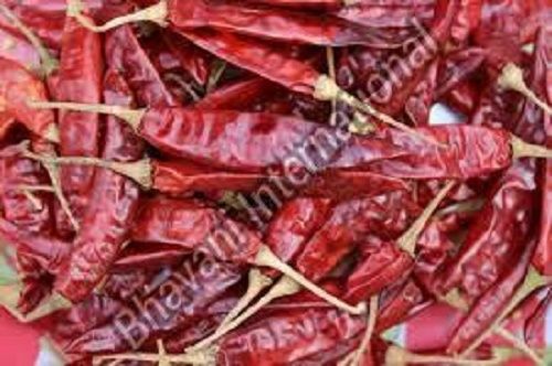 Organic Dried Red Chilli Shelf Life: 1 Years