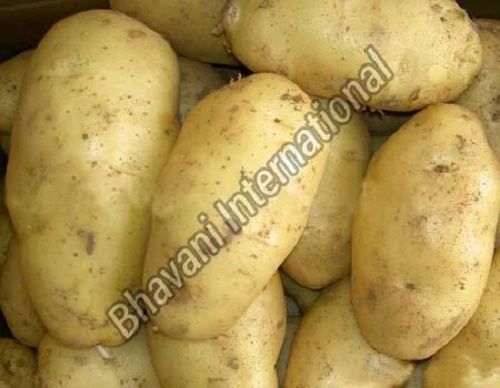Organic Farm Fresh Potatoes