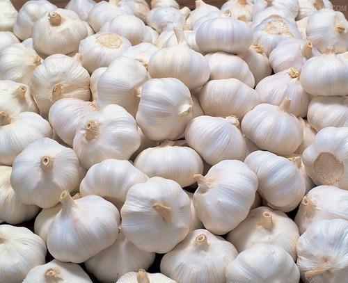 Organic Fresh White Garlic