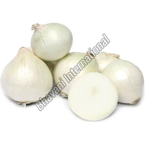 Round Organic Fresh White Onion